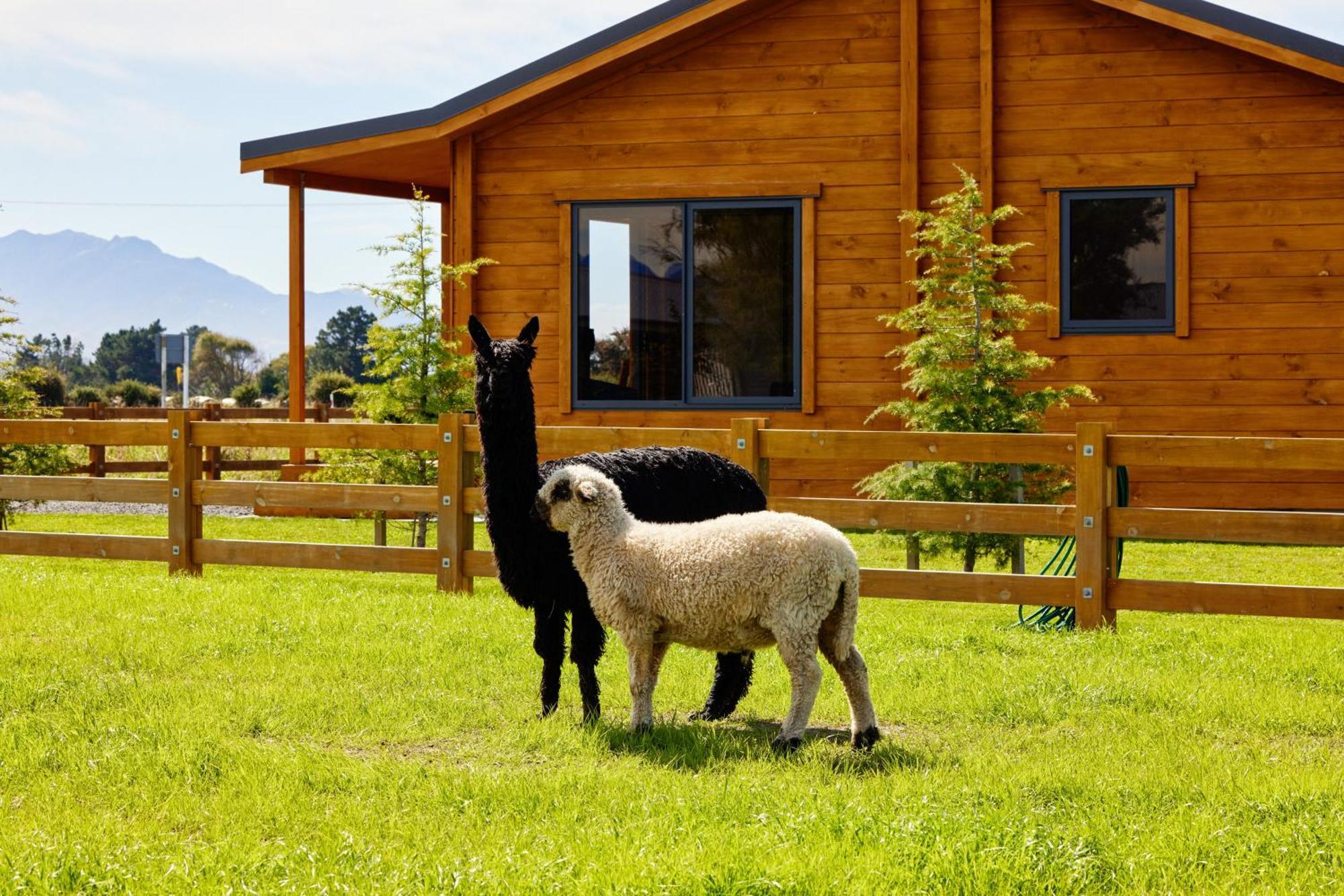 Deerbrooke Kaikoura Chalets - Chalet 1 外观 照片